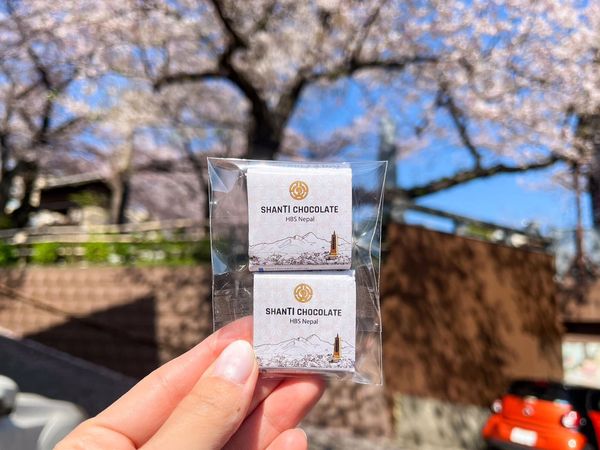 Handcrafted Shanti chocolates